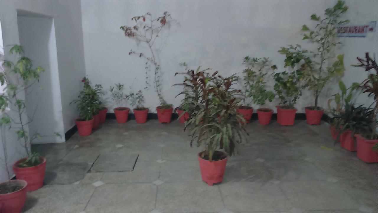 קג'ורהו Hotel Yogi Lodge מראה חיצוני תמונה