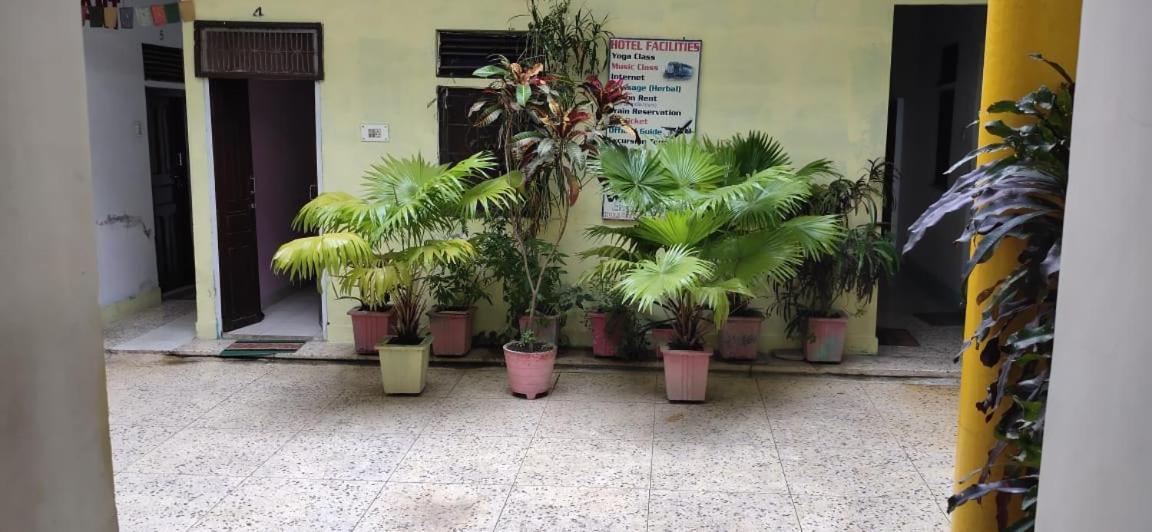 קג'ורהו Hotel Yogi Lodge מראה חיצוני תמונה
